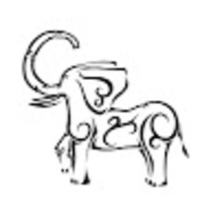 Meet your Posher, Maha